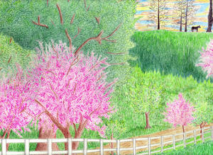 Kentucky Spring by WeatherFanatic on DeviantArt