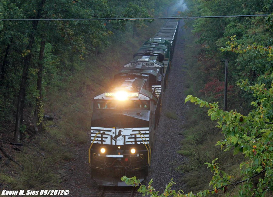 NS 8030 8029 and NS Southern Heritage 8099 NS 749