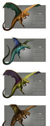 Pokemon Morphology - Dragonite by catandcrown