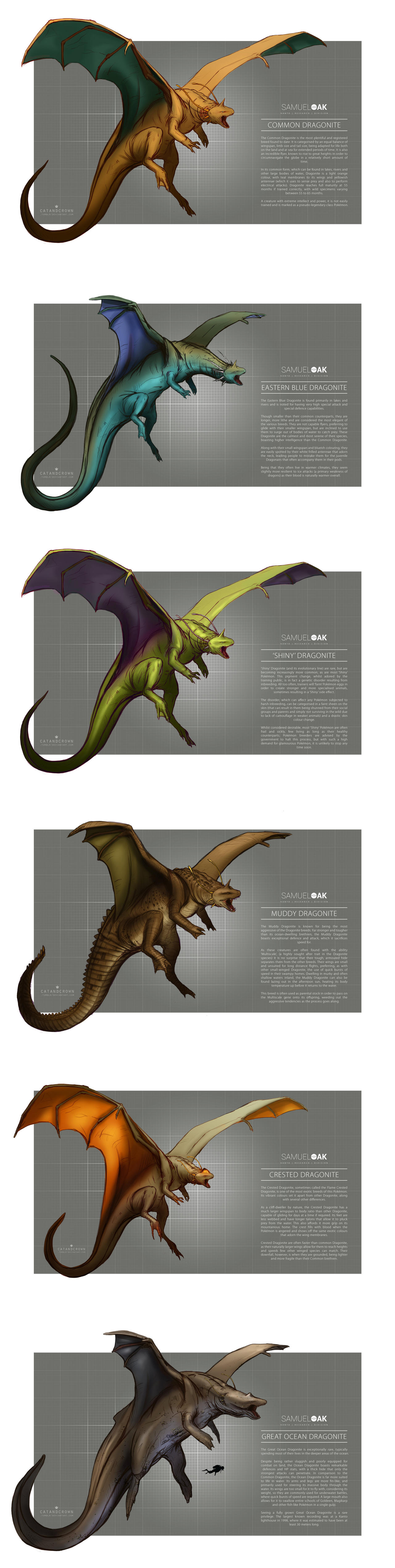 Pokemon Morphology - Dragonite by catandcrown
