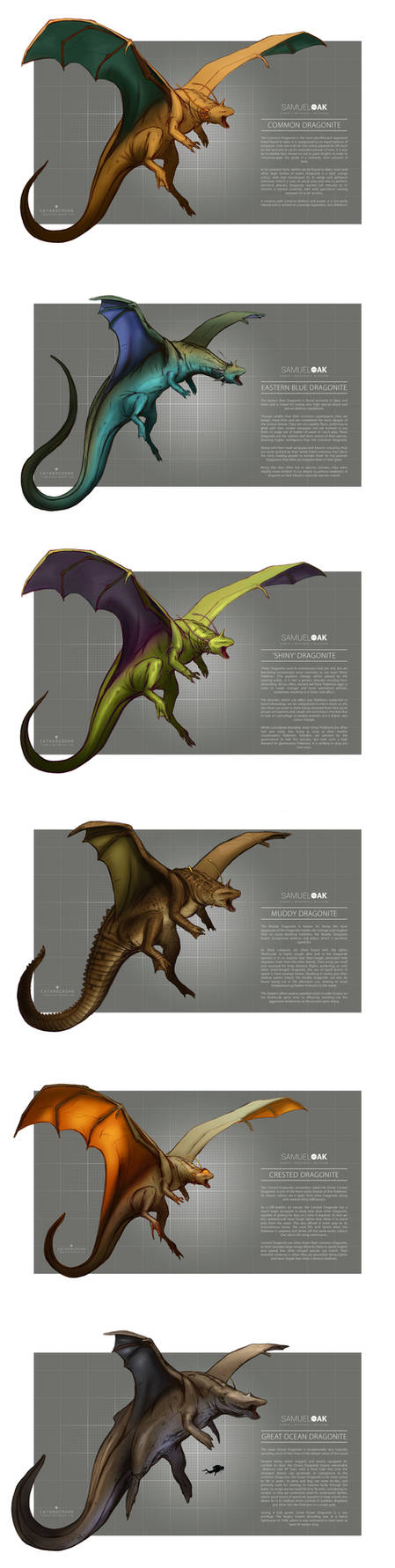 Pokemon Morphology - Dragonite by catandcrown