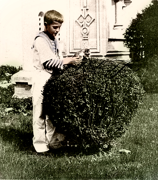 Tsesarevich with a kitten