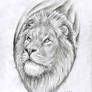 Lion drawing