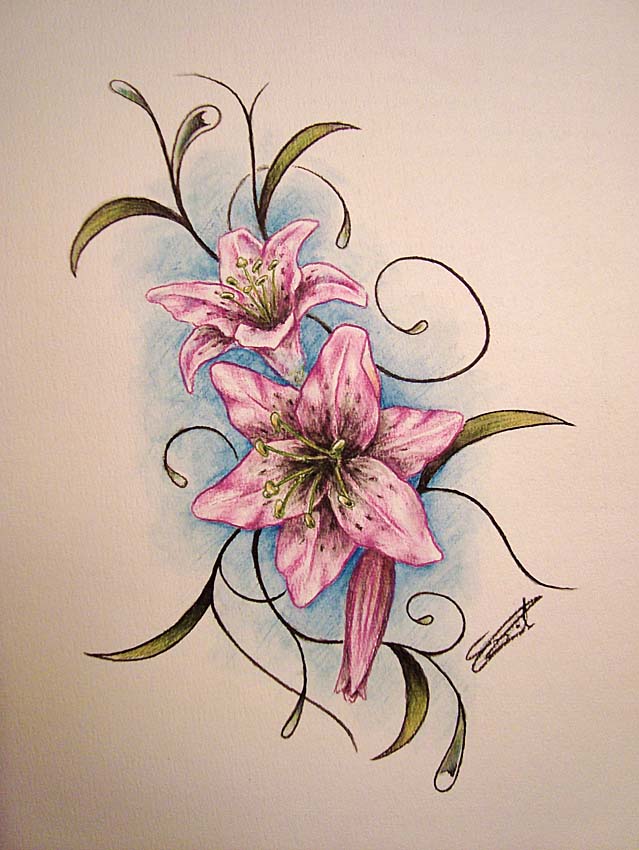 lily aquarelle