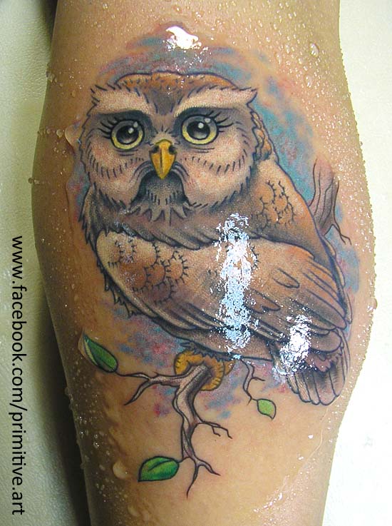 owl