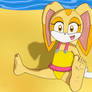 Cream at the beach