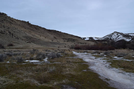 Boise Ice Trail