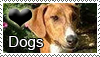 Love Dogs Stamp