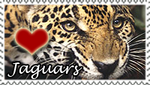 Jaguars Love Stamp by PetLovers