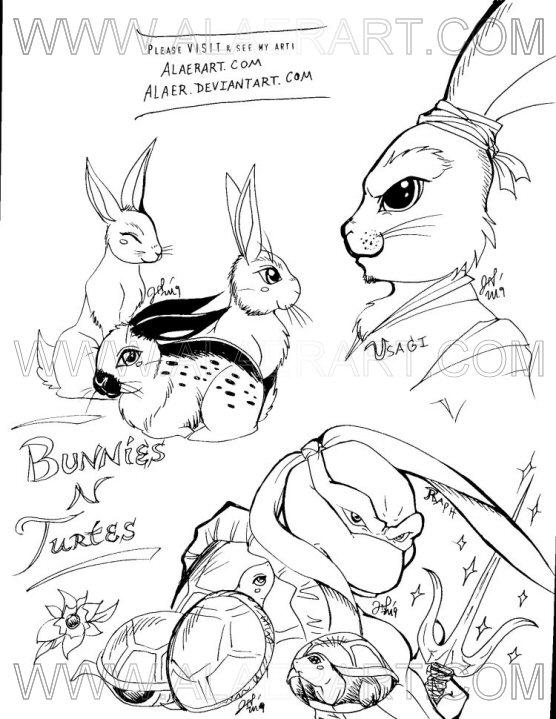 Samurai Rabbit n Ninja Turtles by alaer on DeviantArt