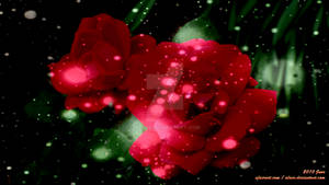 Mother and Child Roses