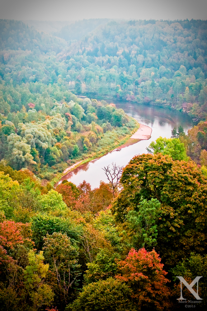 Misty Forest River