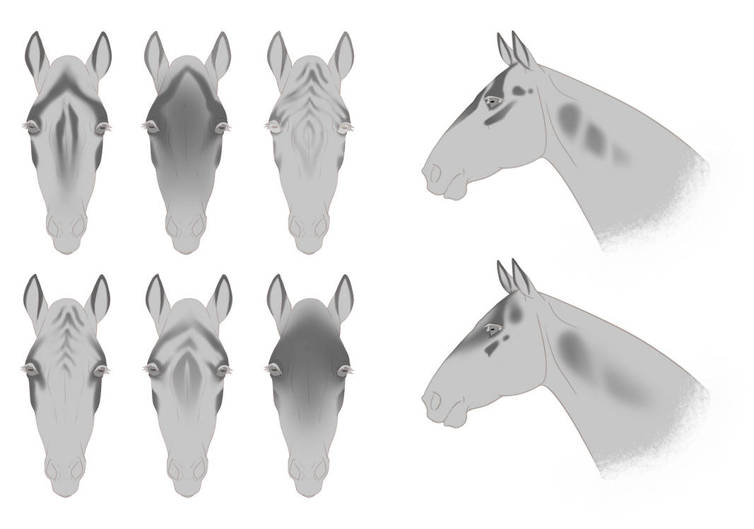 Sable face masks by PolitanaAdmin on DeviantArt