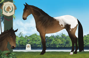 Politana Custom Import - littleredloup