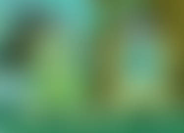 What are you doing here?