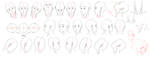 Resources: Head-Neck 1 by deeJuusan