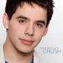 'Crush' CD Cover 3.