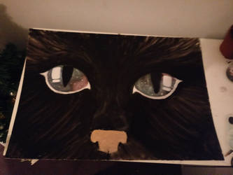 Cat Galaxy eyes painting