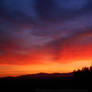 Red sunset III