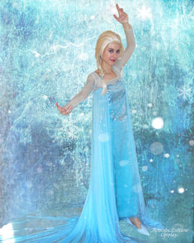 Elsa cosplay XX