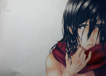 Mikasa 06/09/15