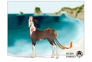 Foal F032 | BIRTH CERTIFICATE - Sold