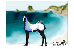 Foal F125 | BIRTH CERTIFICATE