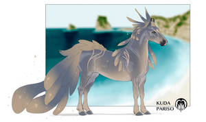Import 708 | CUSTOM IMPORT