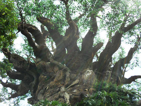 tree of life