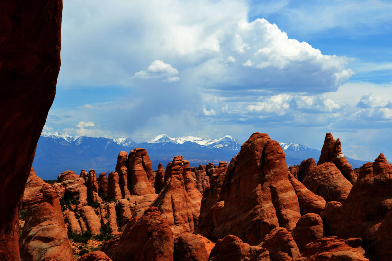 Fins and Mountains