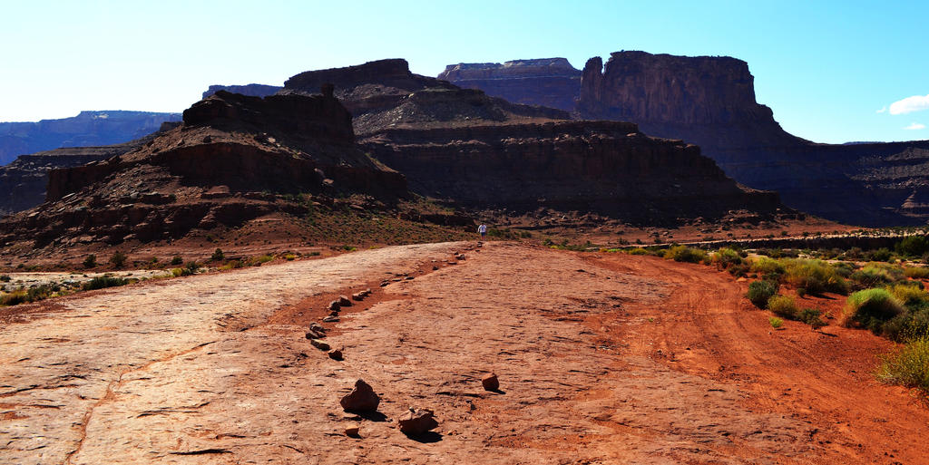 The Path Less Taken by Delta406 on DeviantArt