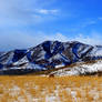 Prairie Winter on the Front Range