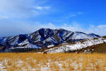 Prairie Winter on the Front Range by Delta406