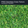 Free Grass Seamless Texture