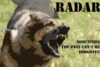 Radar