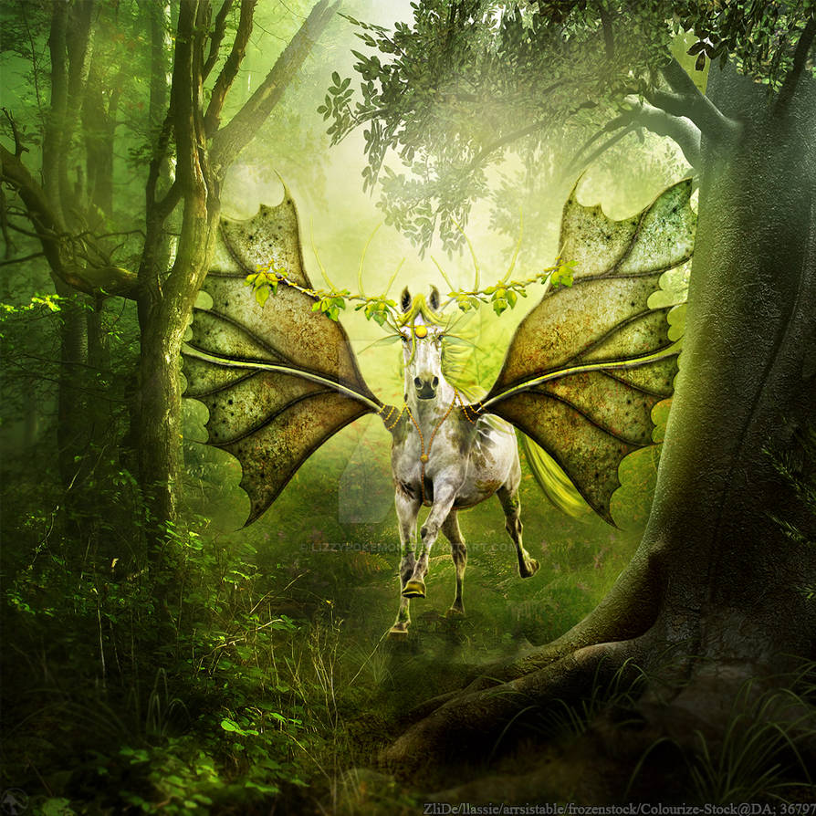 Forest Fairy - Summer