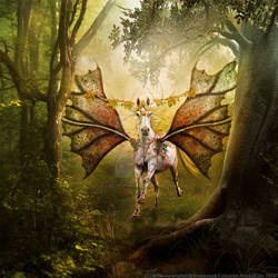 Forest Fairy - Autumn