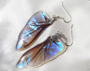 Iridescent Dragon Wing Earrings