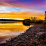 Carsington Water