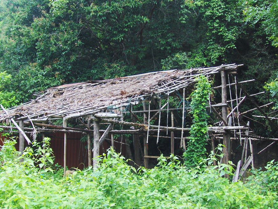 Malay Hut 2 By Nvs Photo On Deviantart