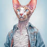 Cat-walk!