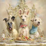 Dogs Dinner...