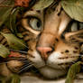 I spy with my little eye...