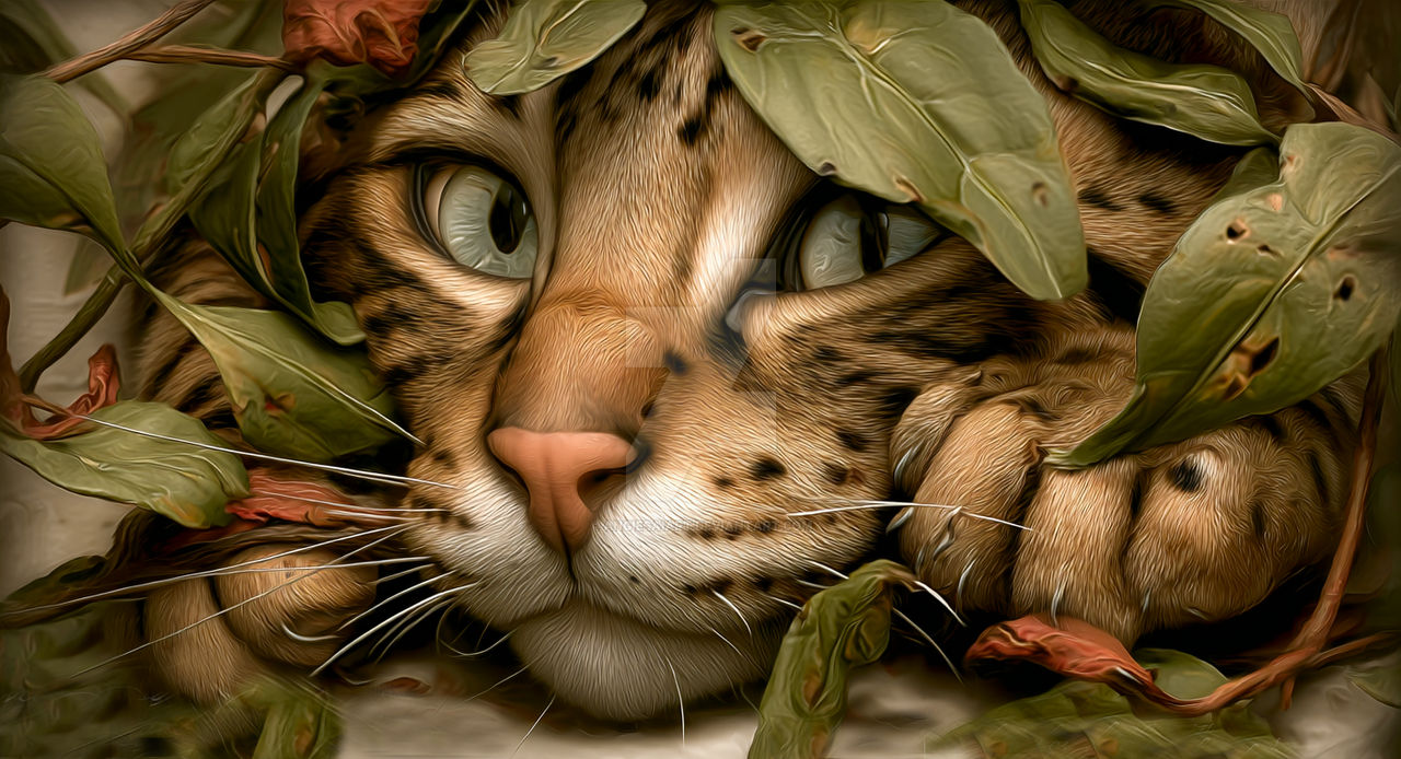 I spy with my little eye...