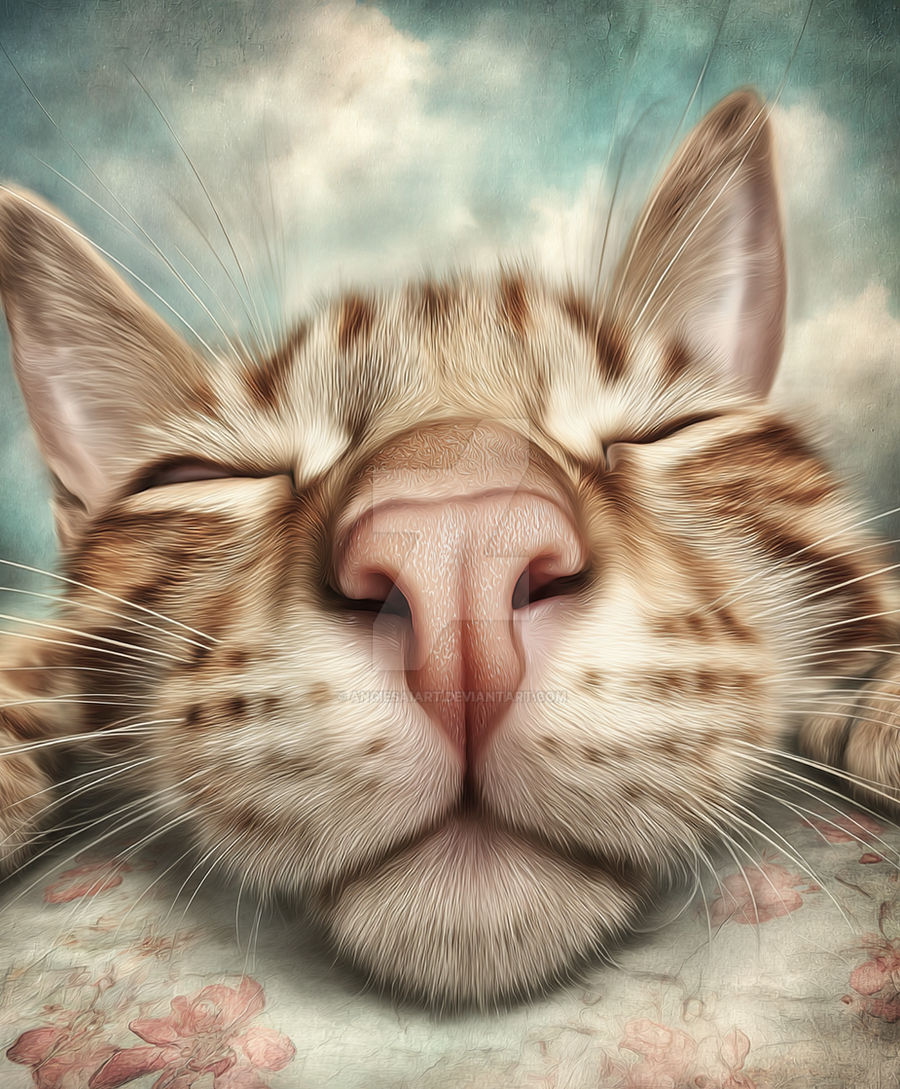 Sweet Dreams...