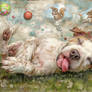 Sweet Dreams ...
