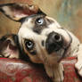 I'm Listening !