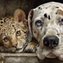 Brother from another Mother ...