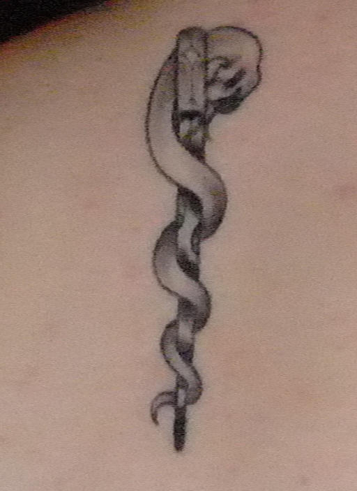 rod of Asclepius Tattoo II by HummelTheDevilInside on DeviantArt