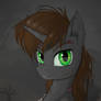 Littlepip